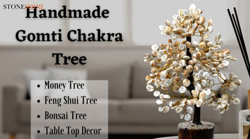 Gomati Chakra Tree: Mythology, Benefits, and Spiritual Significance