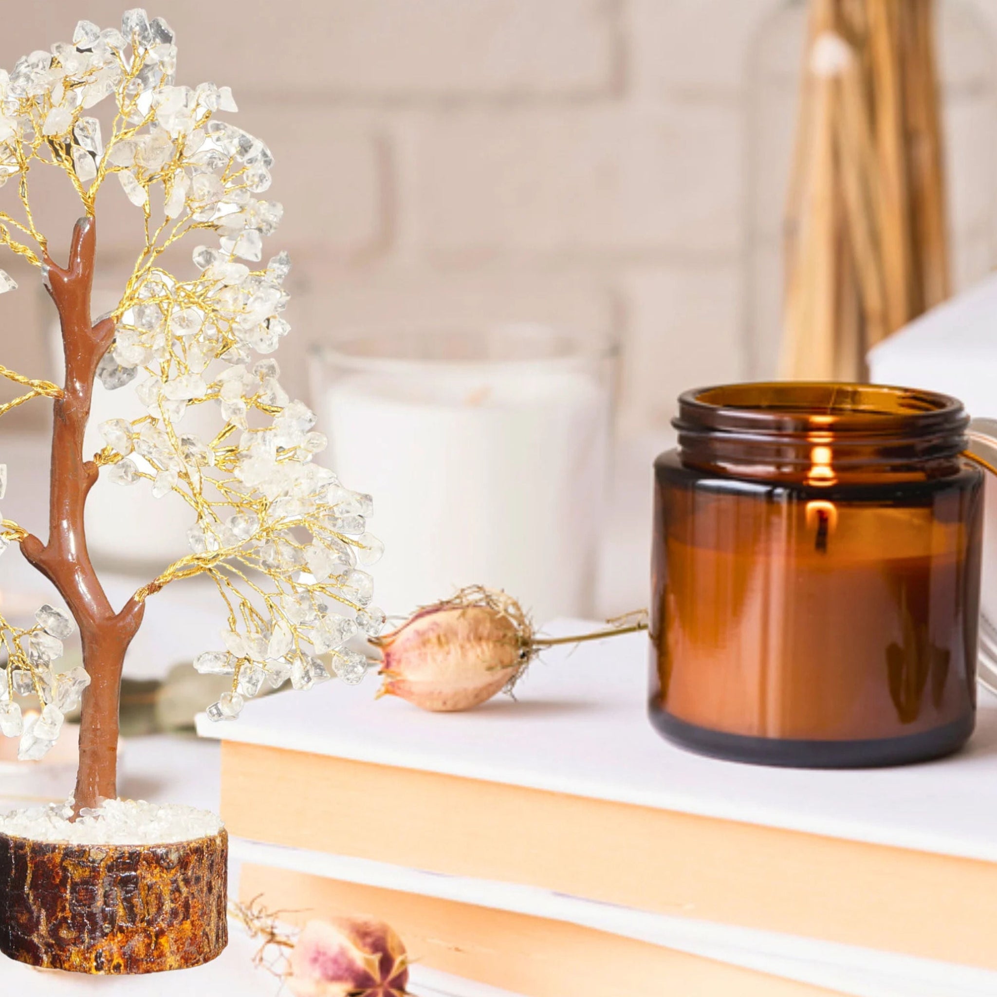 Know How to Implement a Crystal Tree Vastu at Home