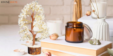 Know How to Implement a Crystal Tree Vastu at Home
