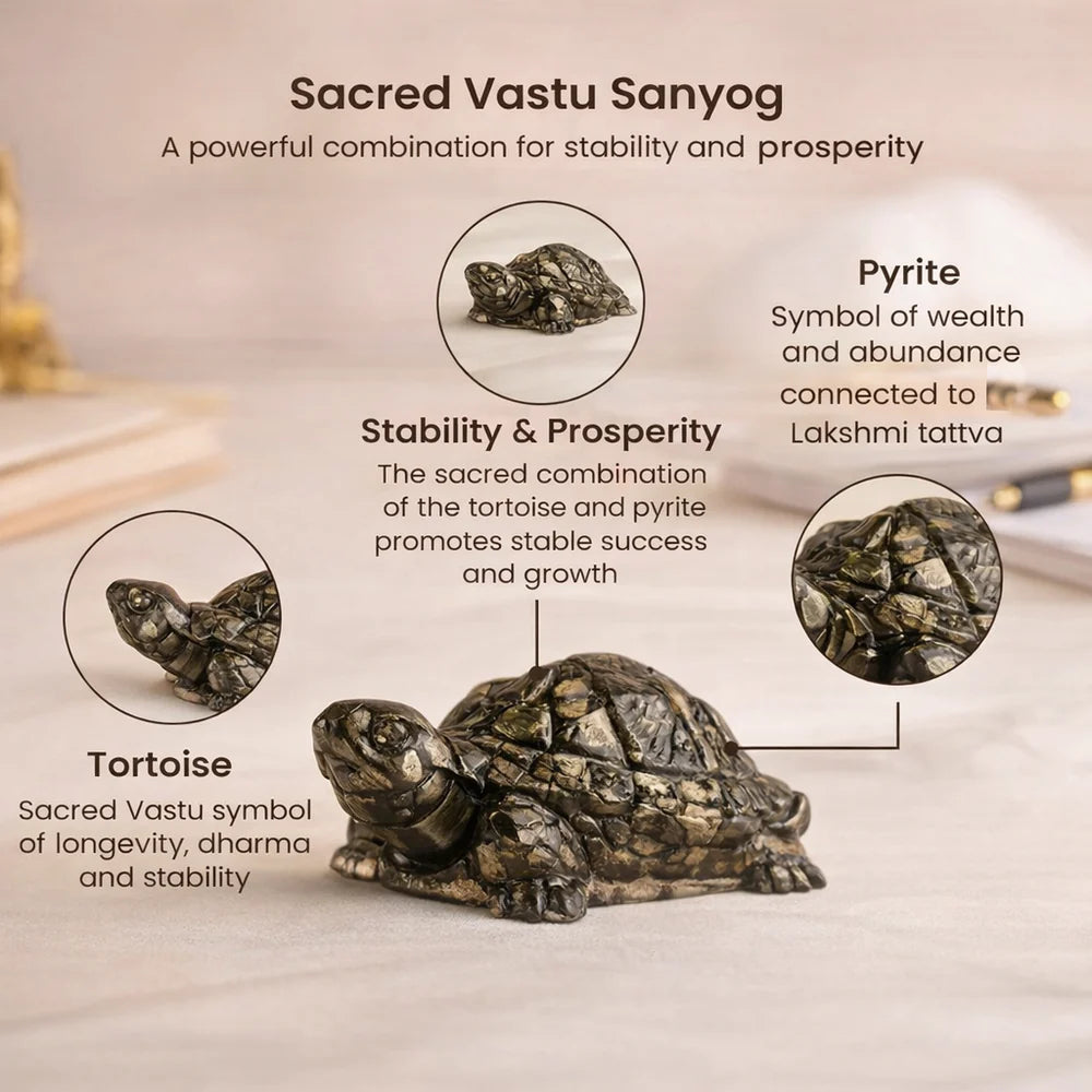 Pyrite Turtle for Vaastu – Wealth, Protection & Stability