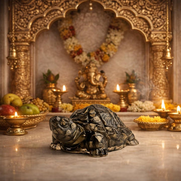 Pyrite Turtle for Vaastu – Wealth, Protection & Stability