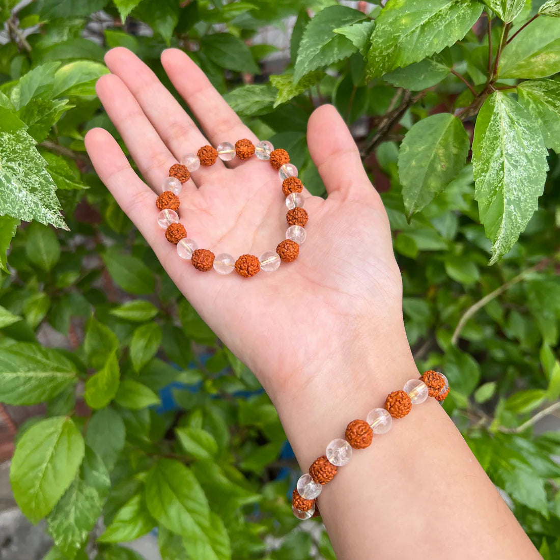 Rudraksha With Clear Quartz Crystal Bracelet
